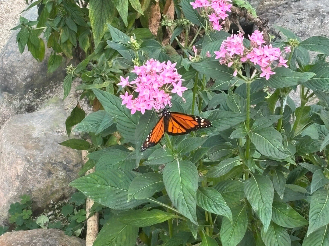 Casa Pueblo-Adjuntas必去景点