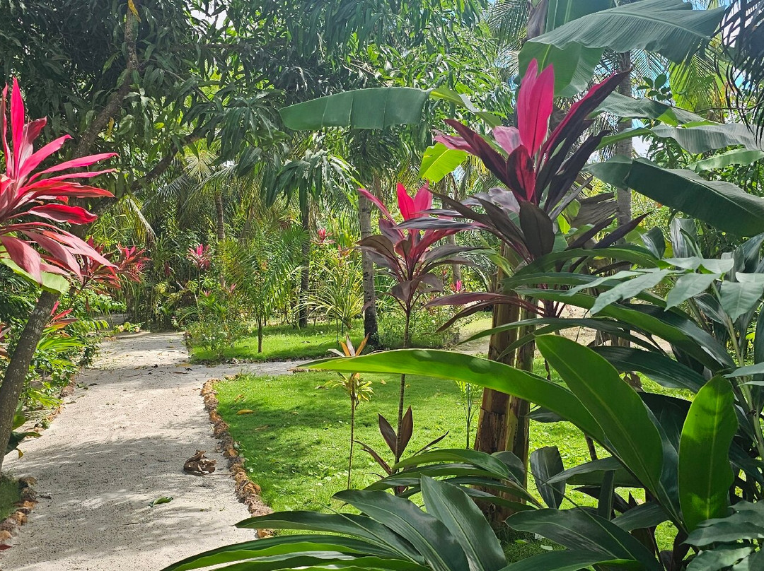 Recanto Pacheco-Rio do Fogo必去景点