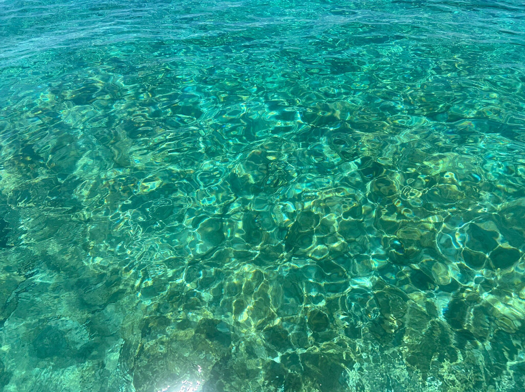 Christina Boat - Chrissi Island-Ierapetra必去景点