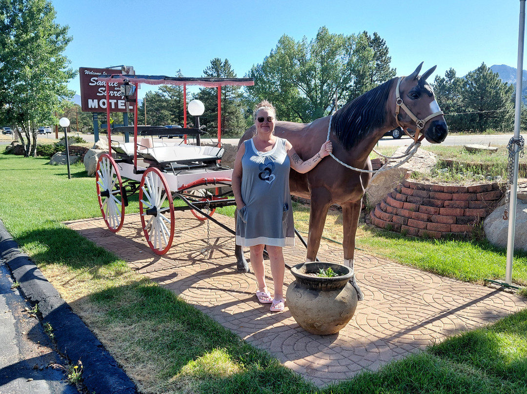 Saddle & Surrey Motel主图