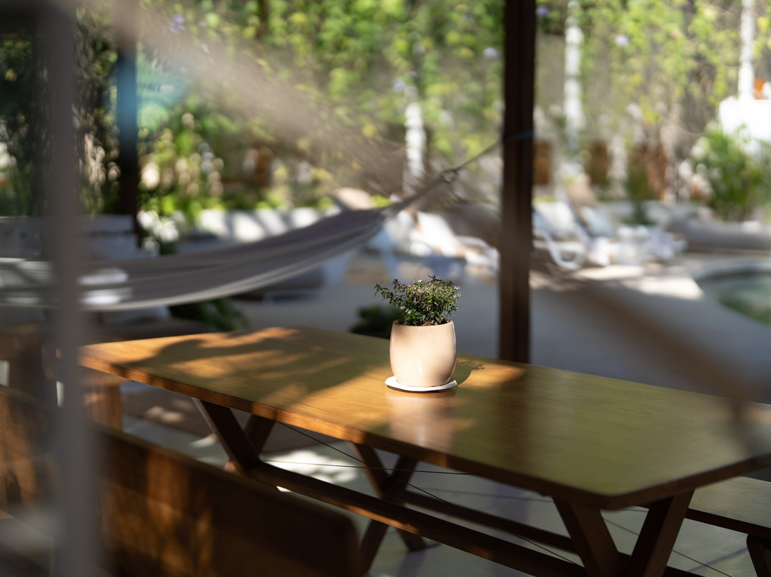 Moana Surf Resort主图