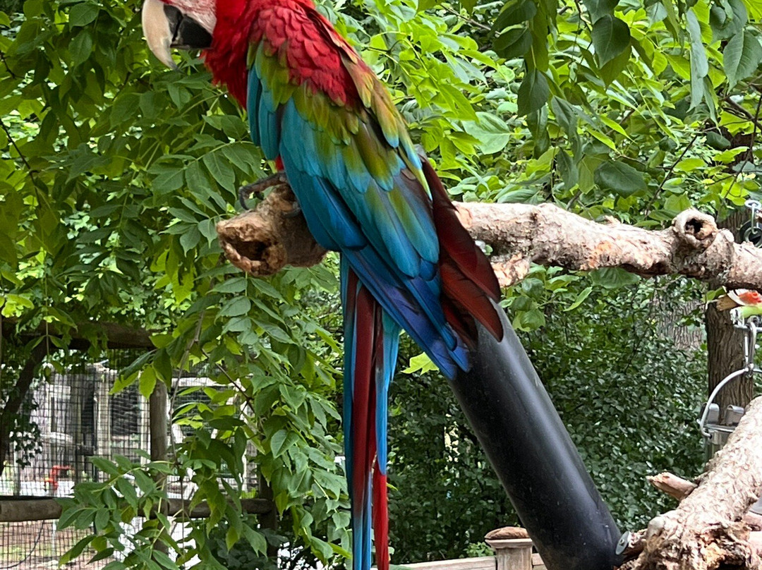 Lincoln Children's Zoo-林肯必去景点