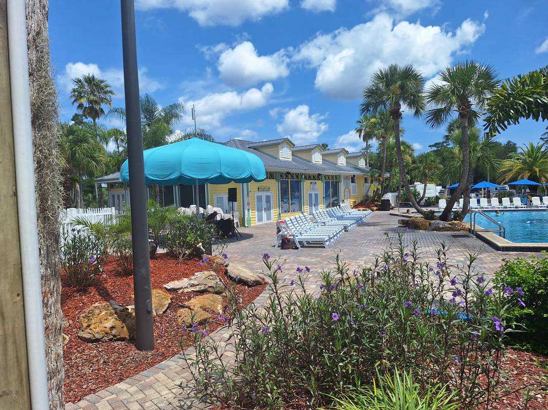 Encore Tropical Palms主图