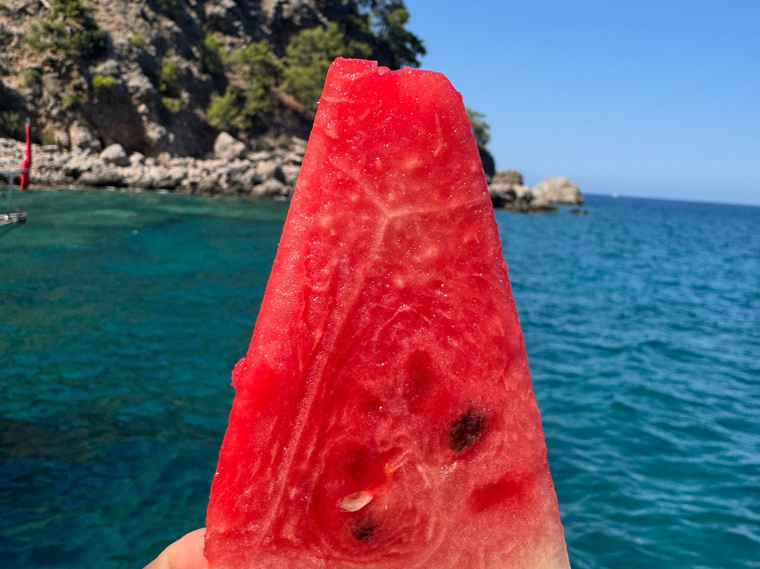 Mahi Mahi Travel-契拉勒必去景点