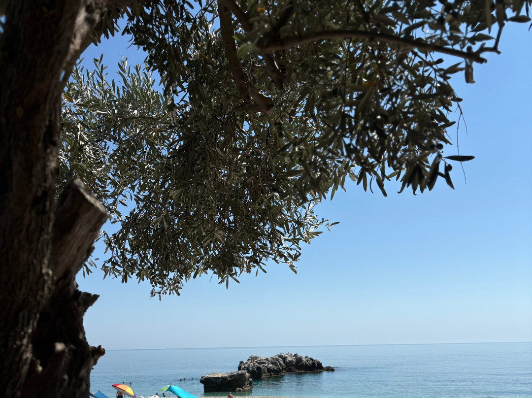Damouchari Beach-Agios Ioannis必去景点