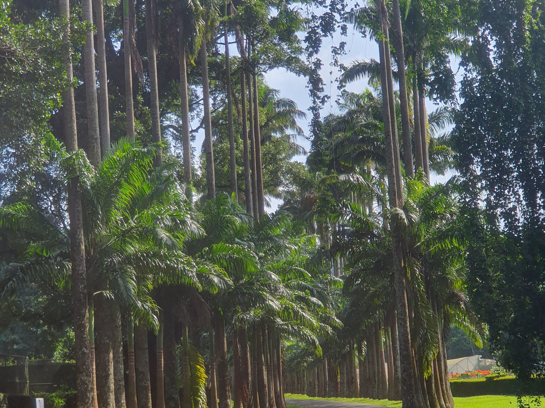 Suwa Rakshana Weda Madura-Pilimathalawa必去景点