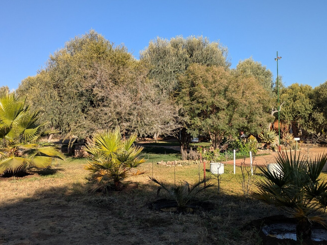 Olienhoff Guesthouse and Rest Camp