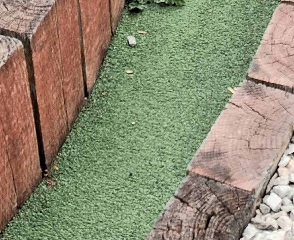 Highfields Park Adventure Golf-诺丁汉必去景点