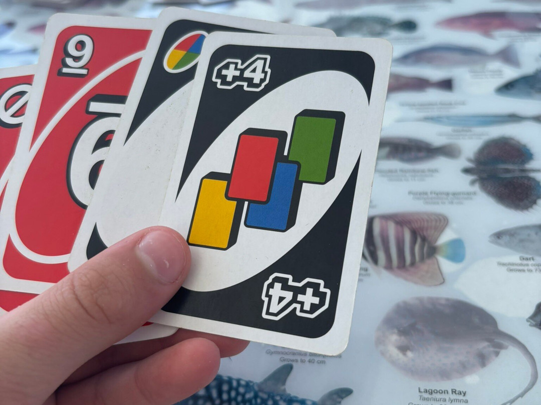 Whitsunday Getaways-艾尔利滩必去景点