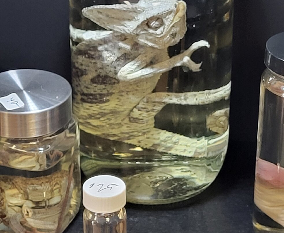 The Mourning Museum-Niles必去景点