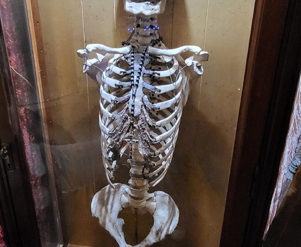 The Mourning Museum-Niles必去景点