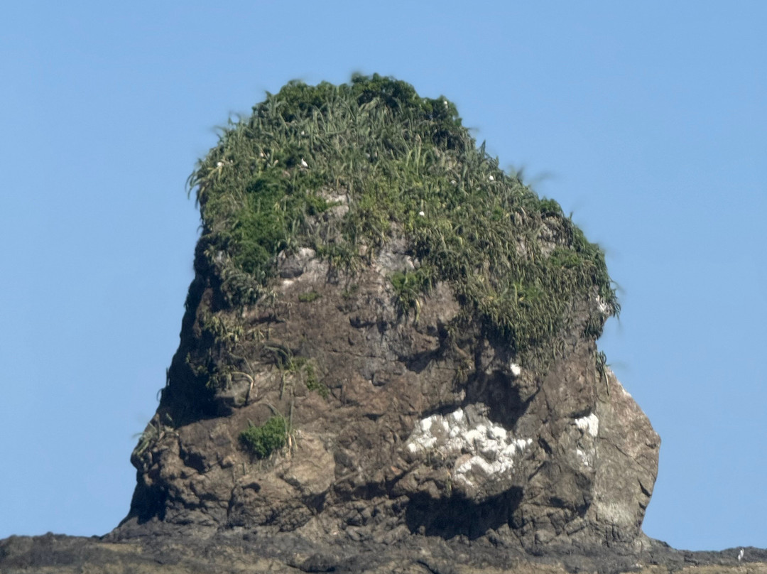 Tours Your Way-Playas del Coco必去景点