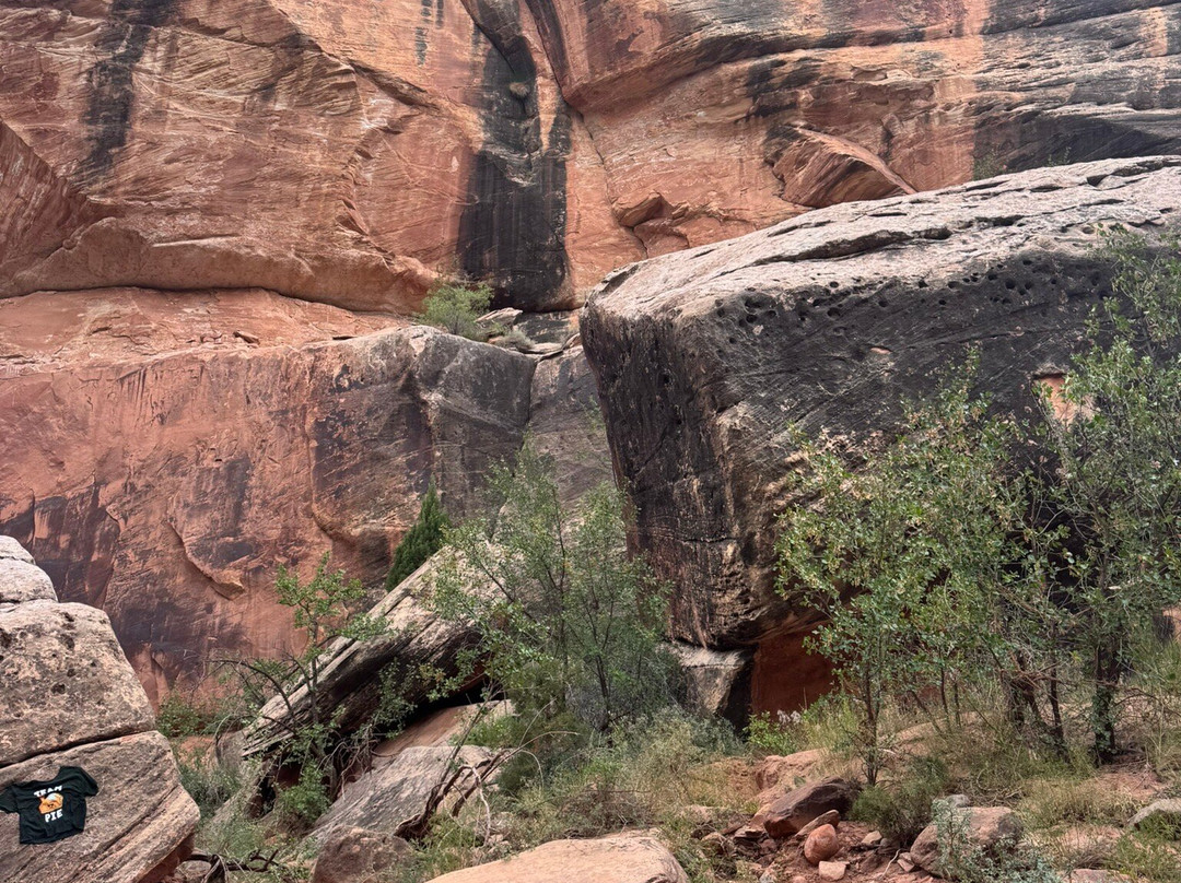 Wild Expeditions-布拉夫必去景点