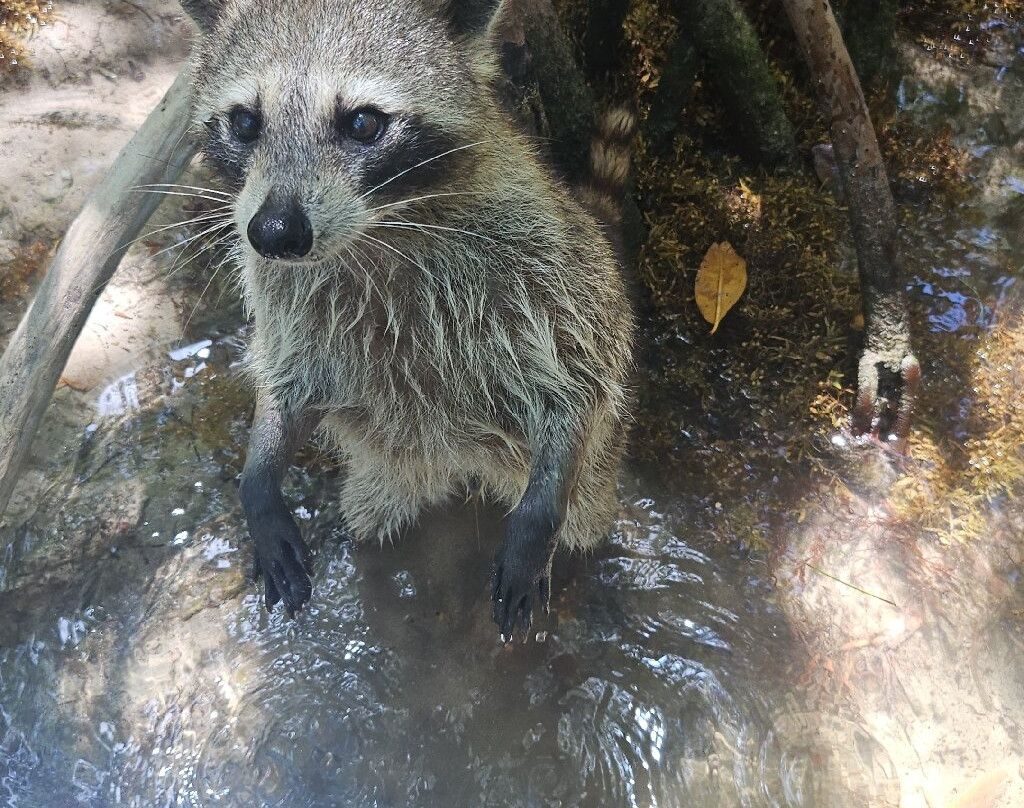 Oleta River State Park-North Miami必去景点