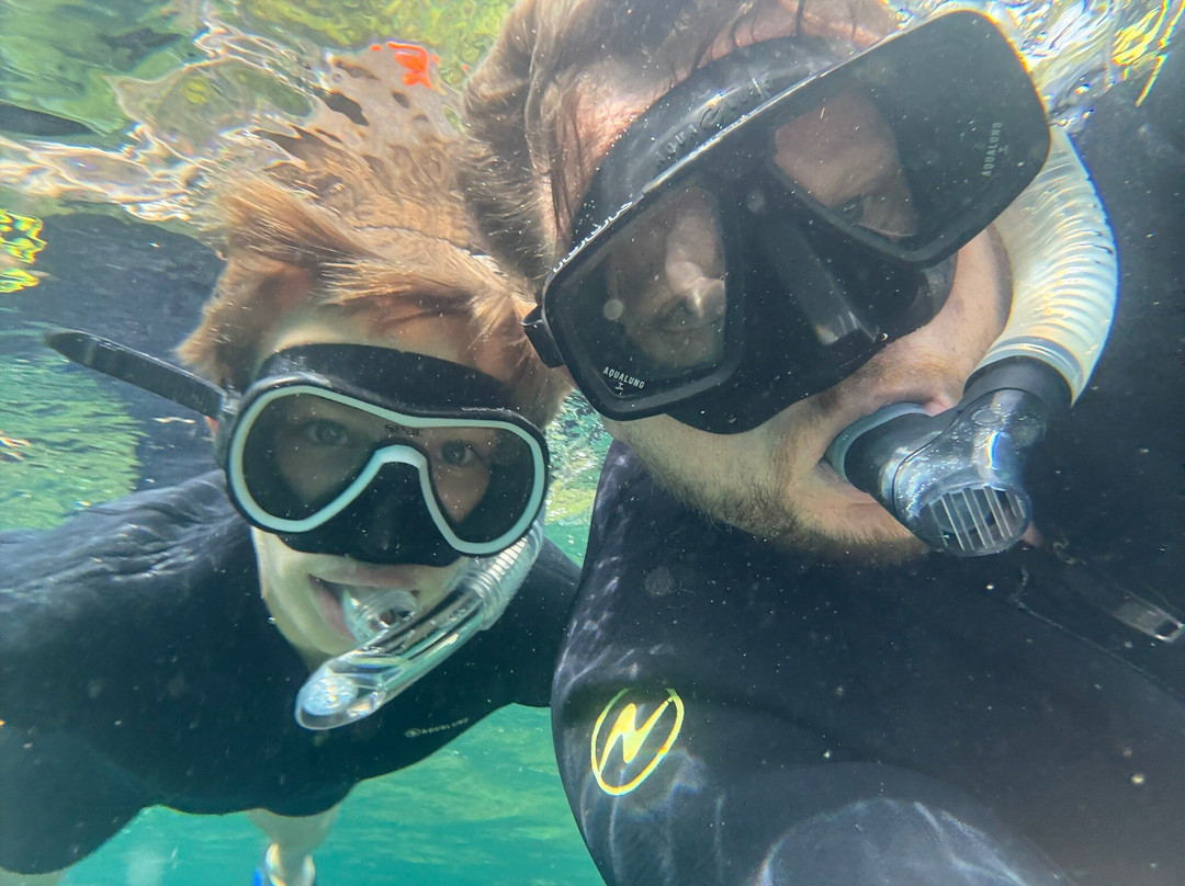 Alpha Plongée Martinique-Les Anses d'Arlet必去景点