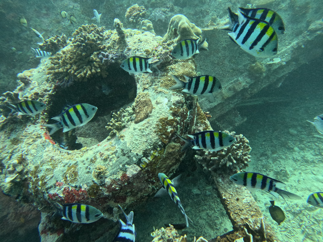DSM Dive - Gili Trawangan-吉利特拉万安必去景点