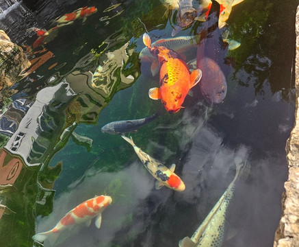 祖尔维恩斯泰吉酒店主图