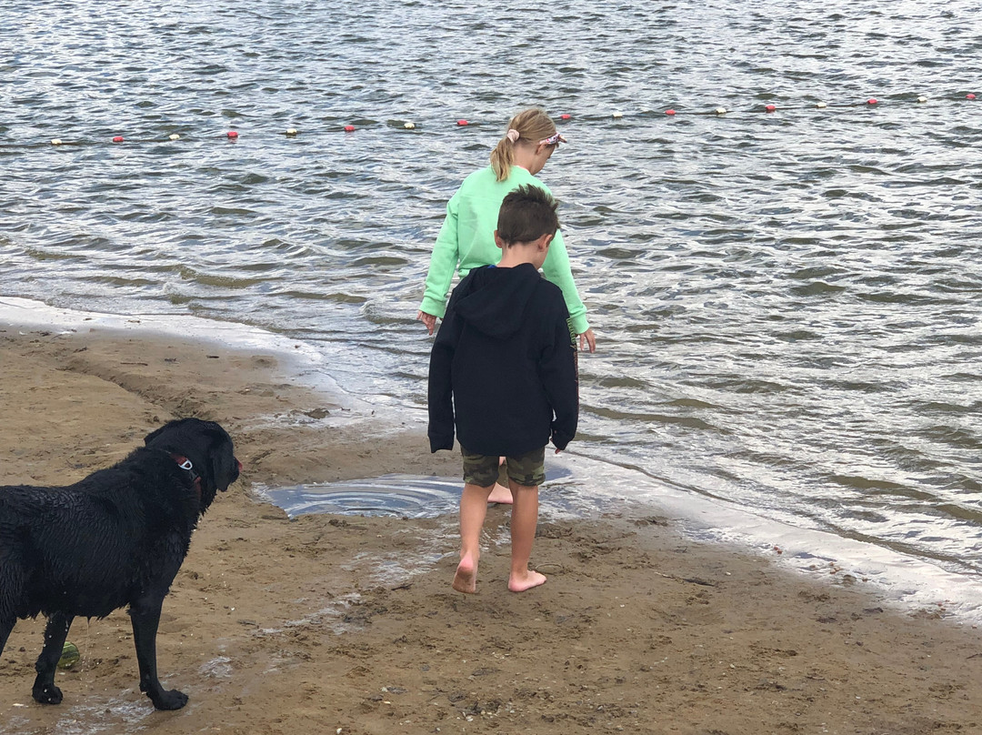 Allerthorpe Lakeland Park-Allerthorpe必去景点