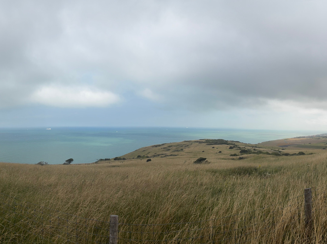 Chambres d'Hotes Les Pins主图