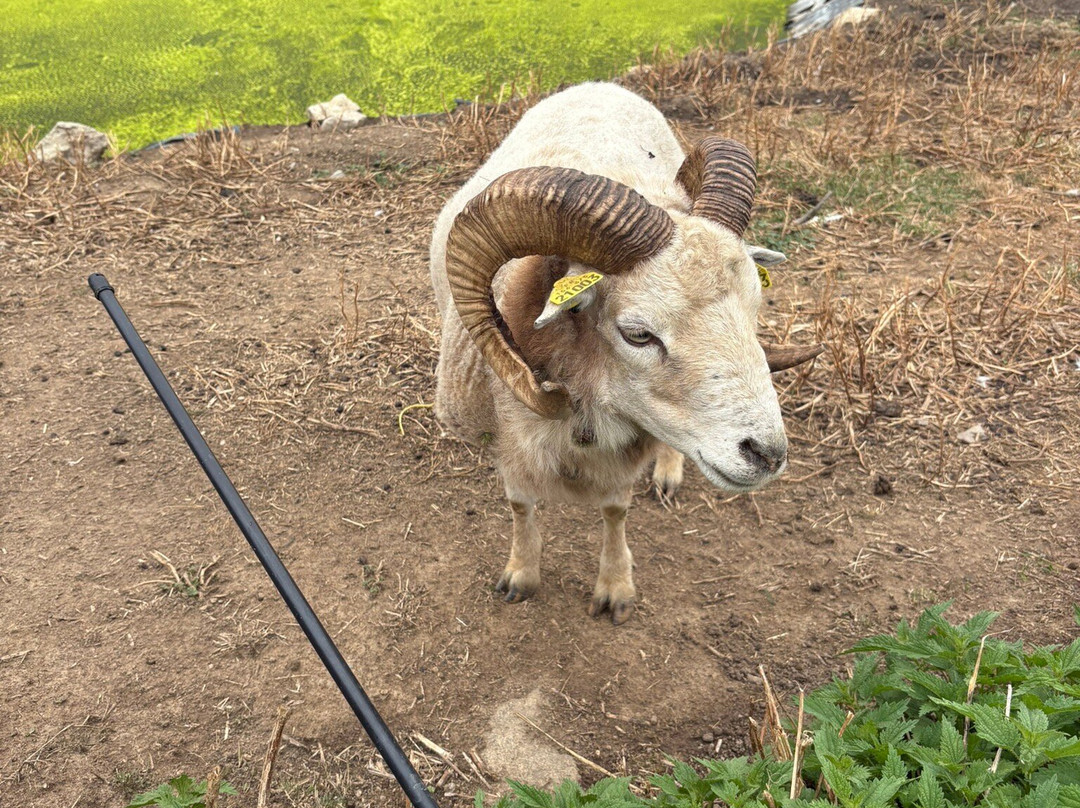 La Ferme du Rialet-La Llagonne必去景点