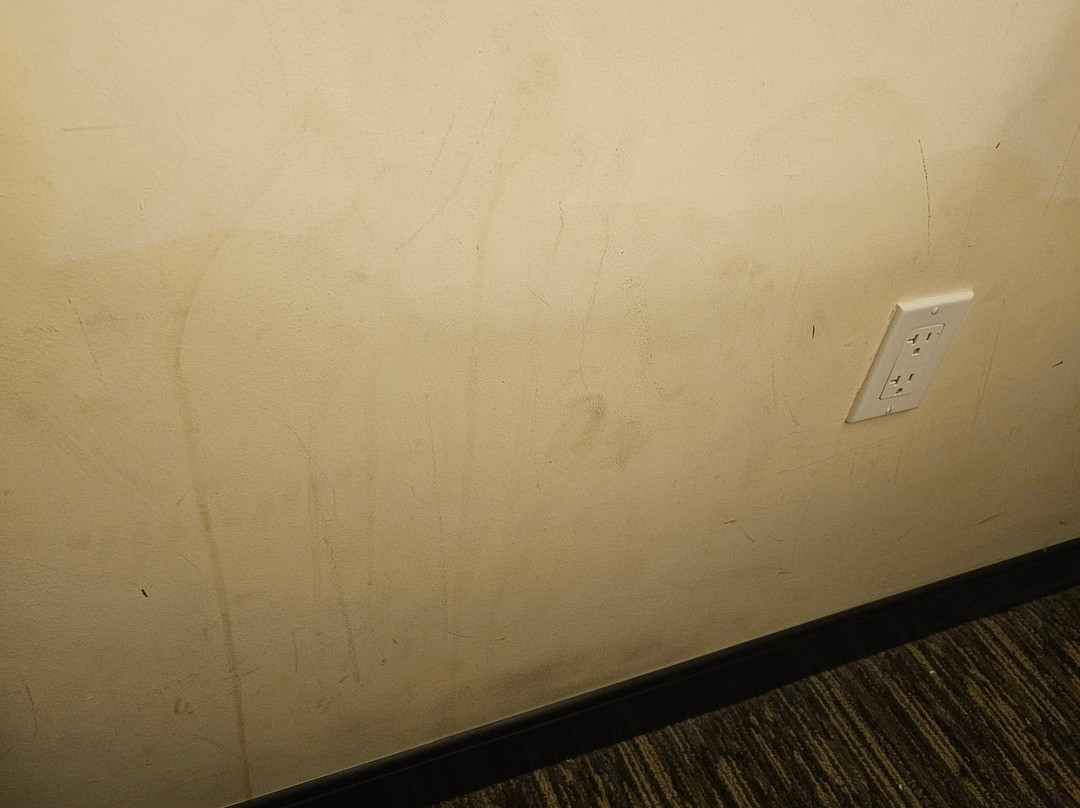 迈阿密行政机场-肯德尔Candlewood Suites主图