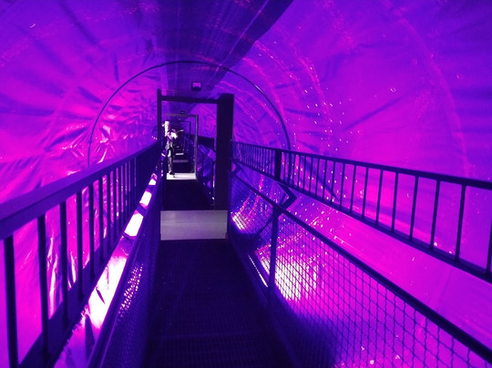 Museum of Illusions-维也纳必去景点