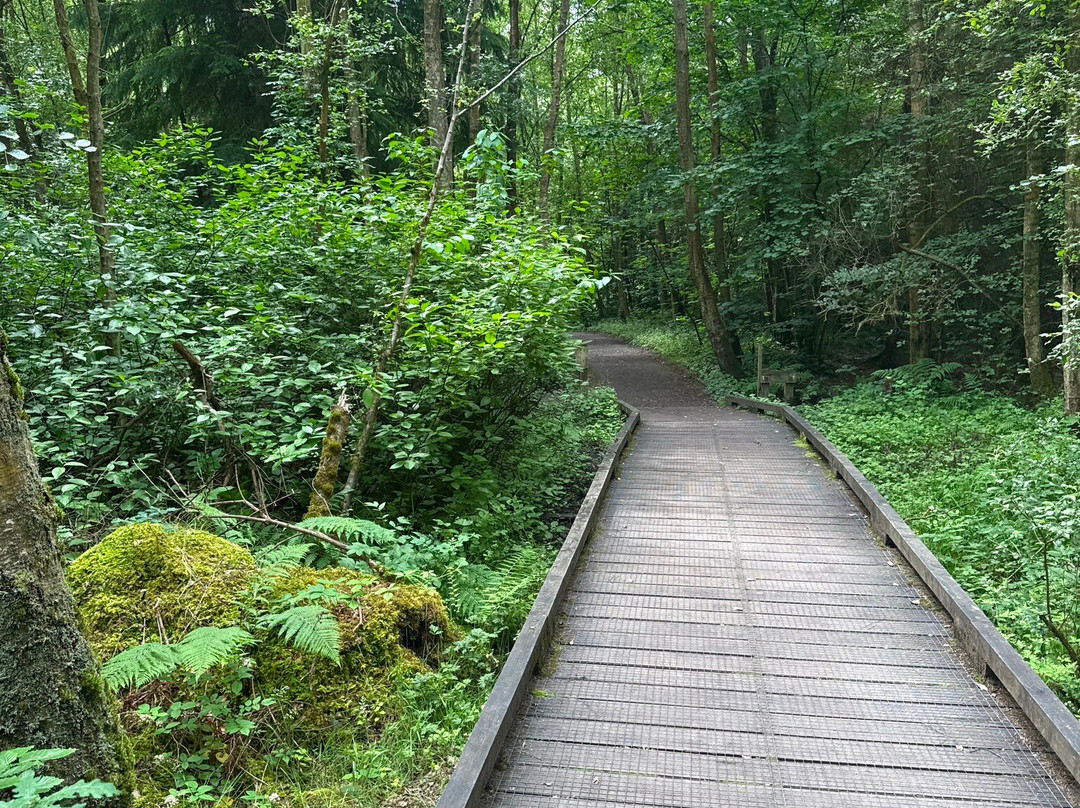 Bolam Lake Country Park-Belsay必去景点