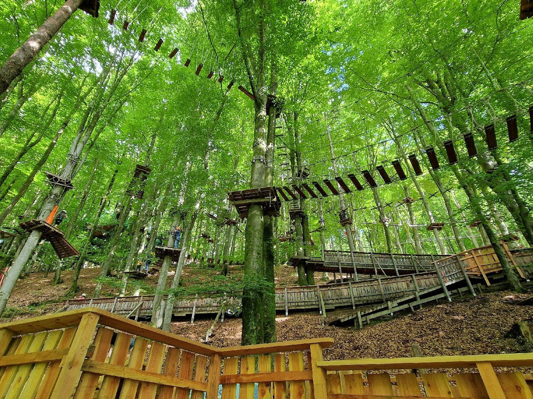 Familywald Ossiacher See-欧西亚赫必去景点