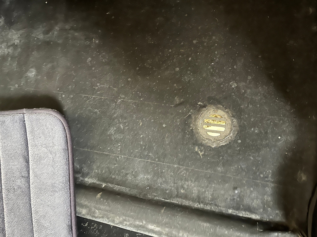 Bellevue Homestead-Coominya必去景点