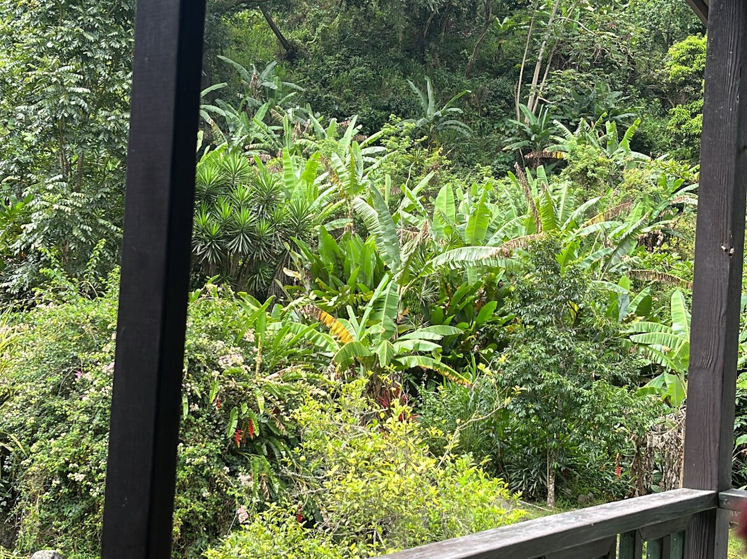 Rafjam's Bed & Breakfast主图