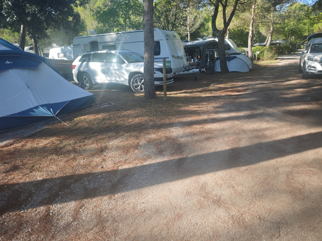 V.T.E. Villaggio Turistico Europa主图