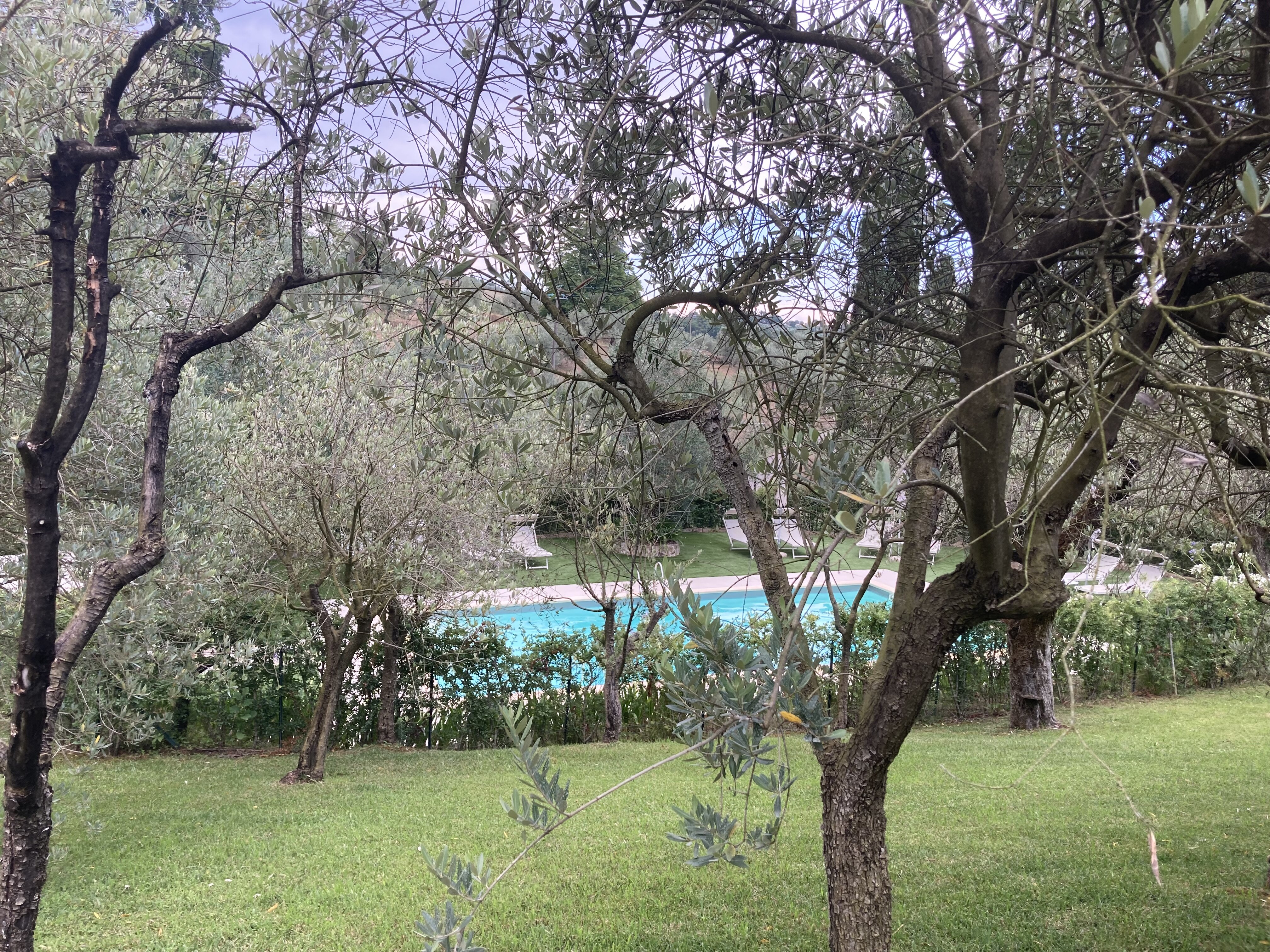 Rivo Della Corte-官方