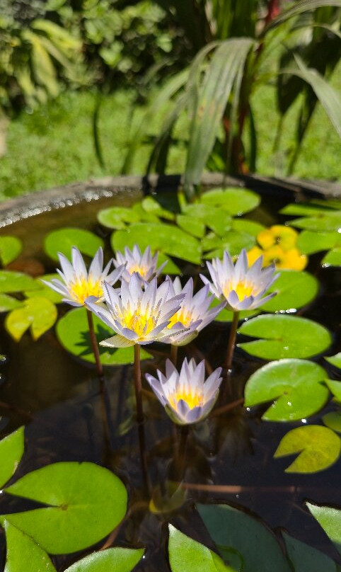 Abian Spa-特贾库拉必去景点