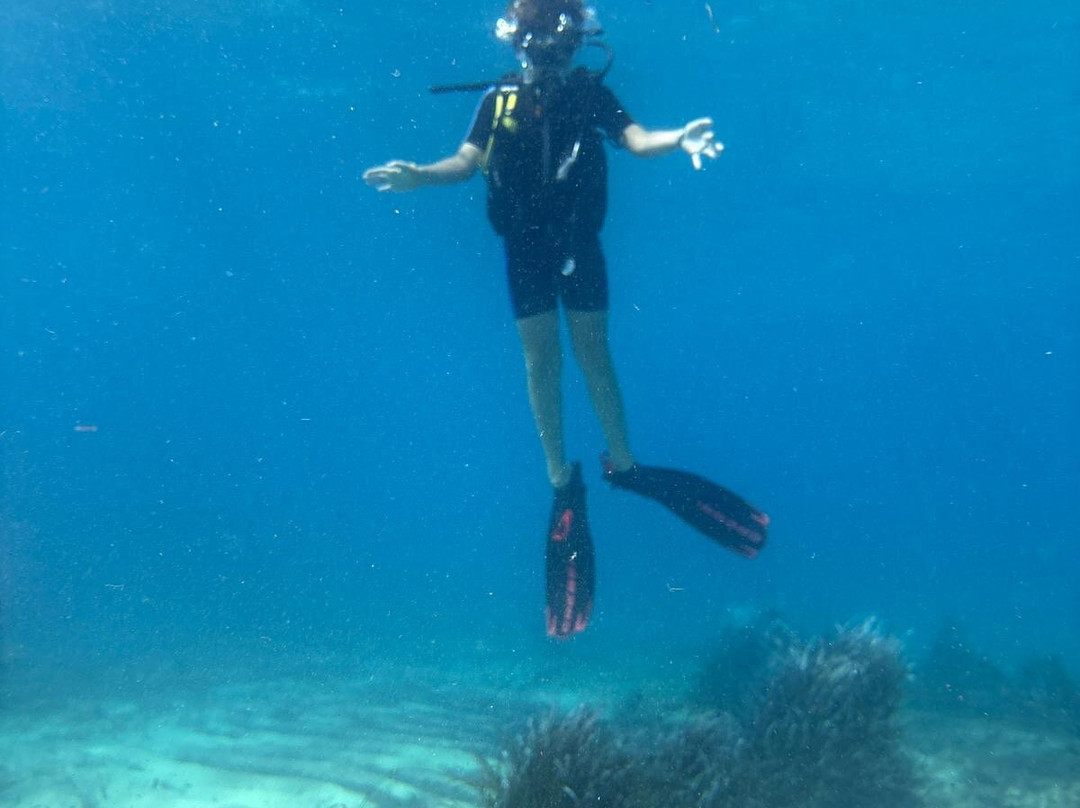 ProgettoSub 5 Star PADI Resort-Geremeas必去景点