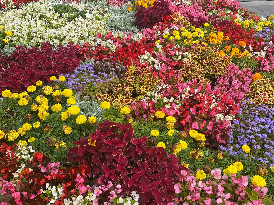 Nikolskaya Ulitsa-莫斯科必去景点