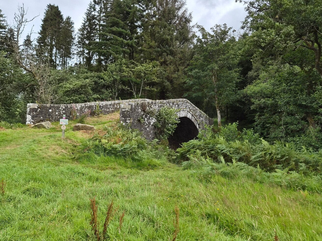 Kielder Castle Visitor Centre-Kielder必去景点