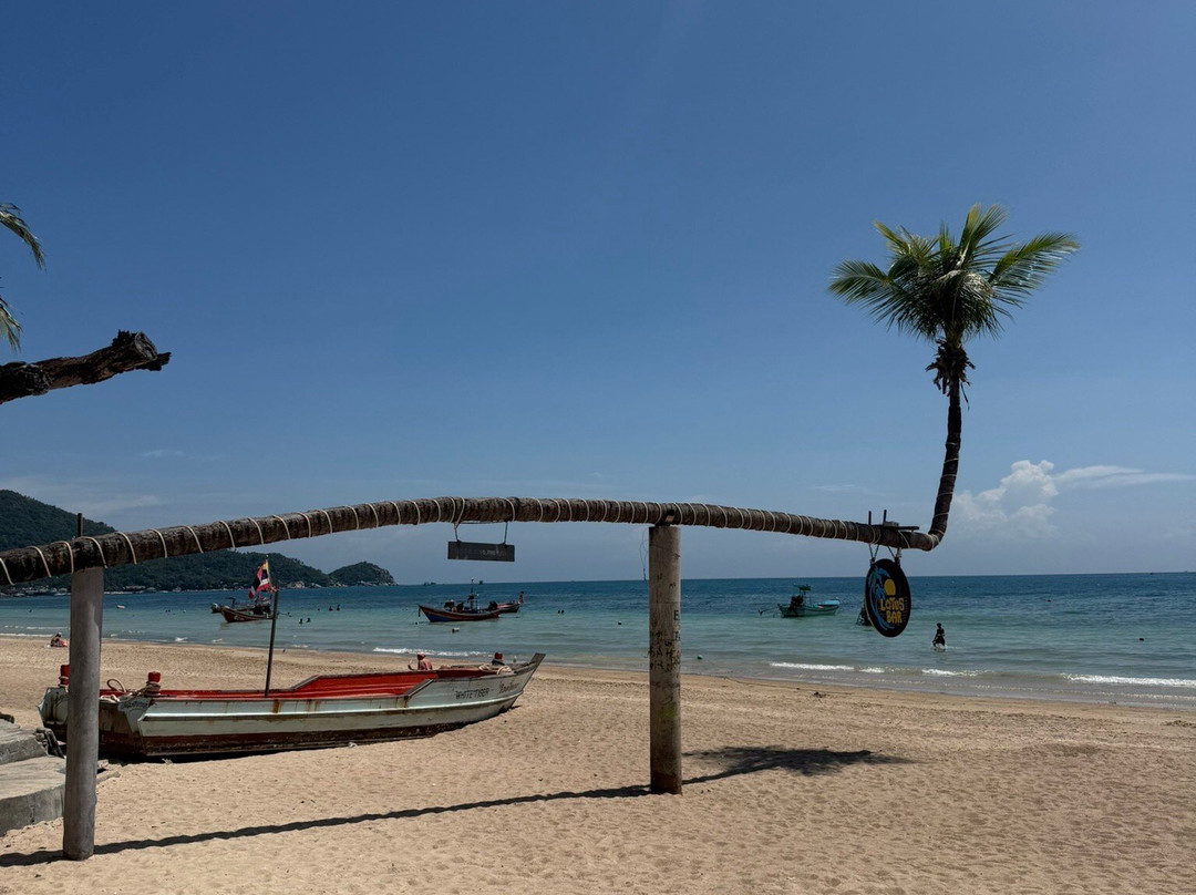 猴子鲜花别墅酒店主图