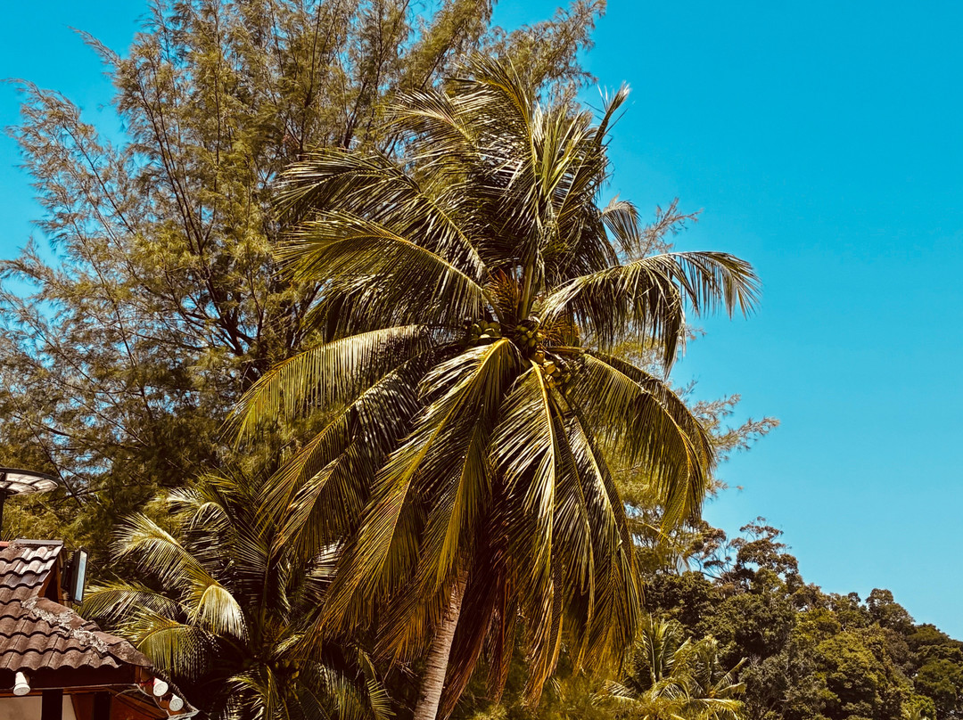 Perhentian Islands-Perhentian Islands必去景点