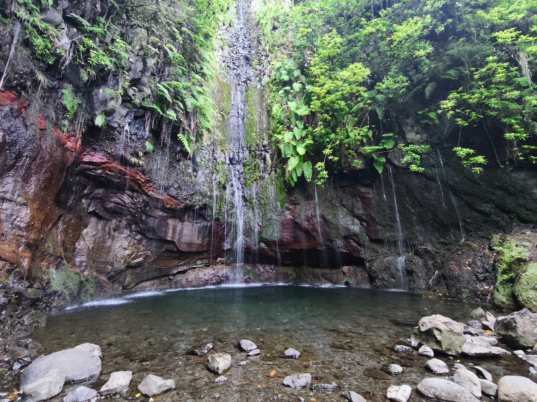 Madeira: Levada das 25 Fontes & Levada do Risco Self-Guided
