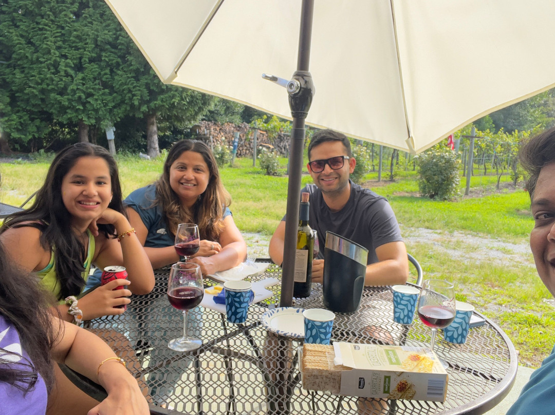 Saint Paul Mountain Vineyards-亨德森维尔必去景点