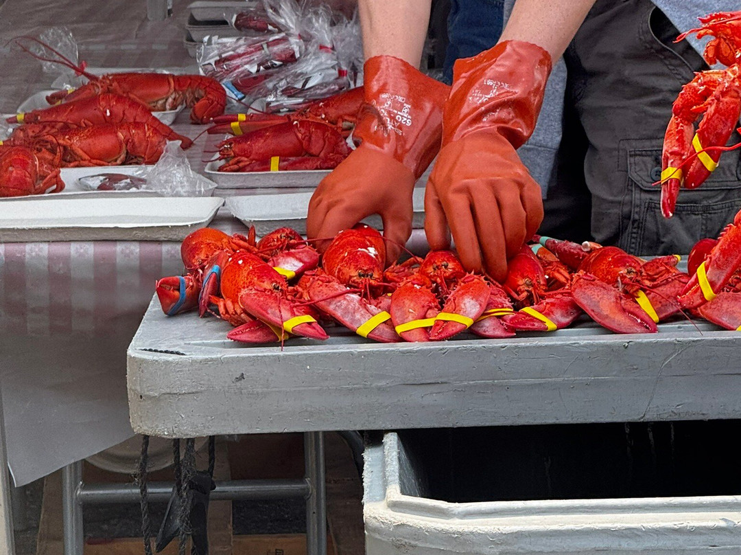 缅因州龙虾节-罗克兰必去景点