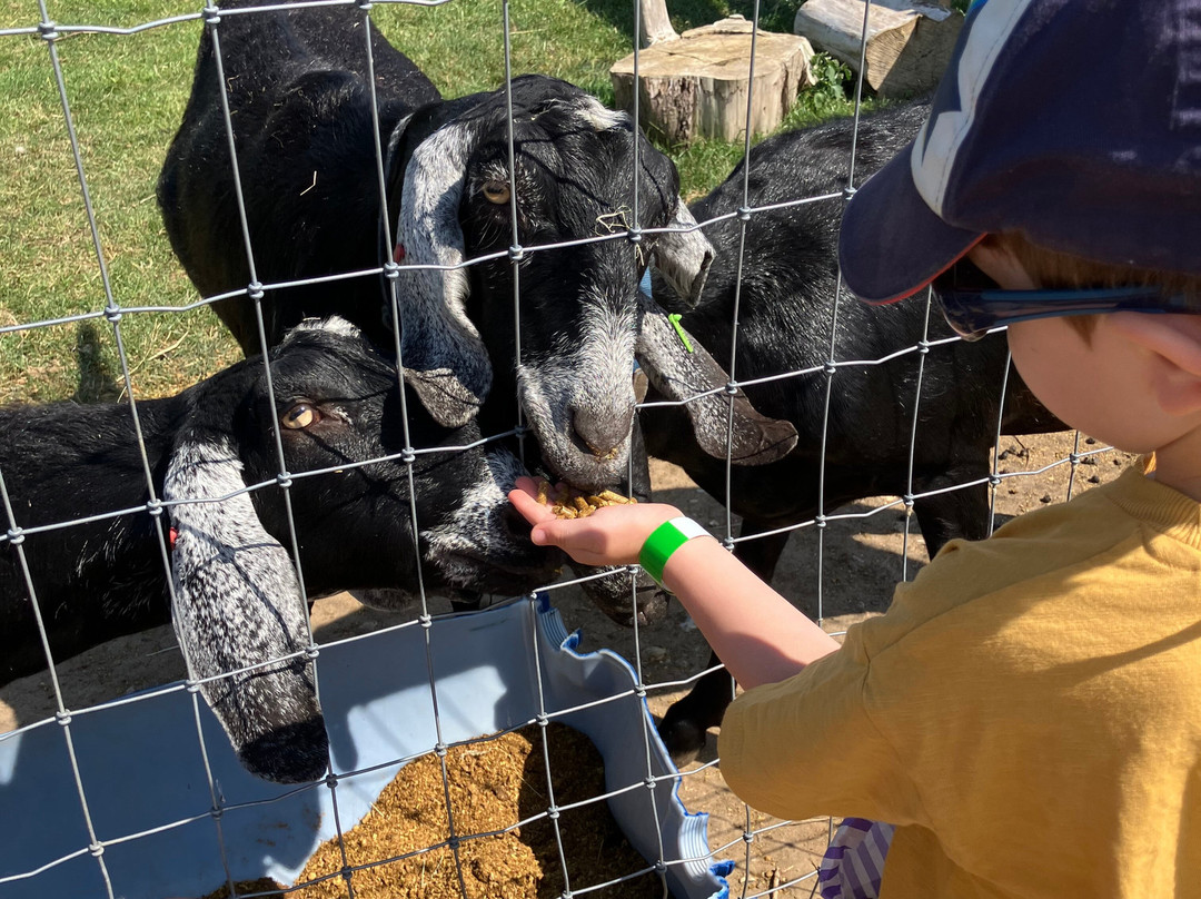 Church Farm Ardeley-斯蒂夫尼奇必去景点