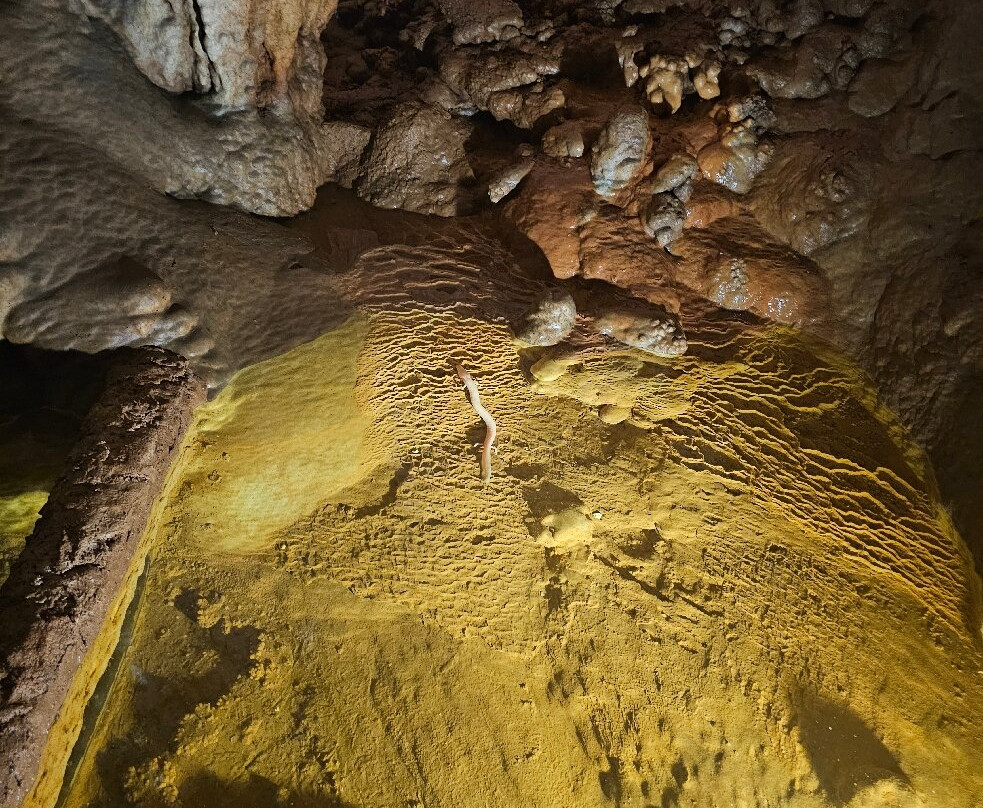 Jama - Grotta Baredine-波雷奇必去景点
