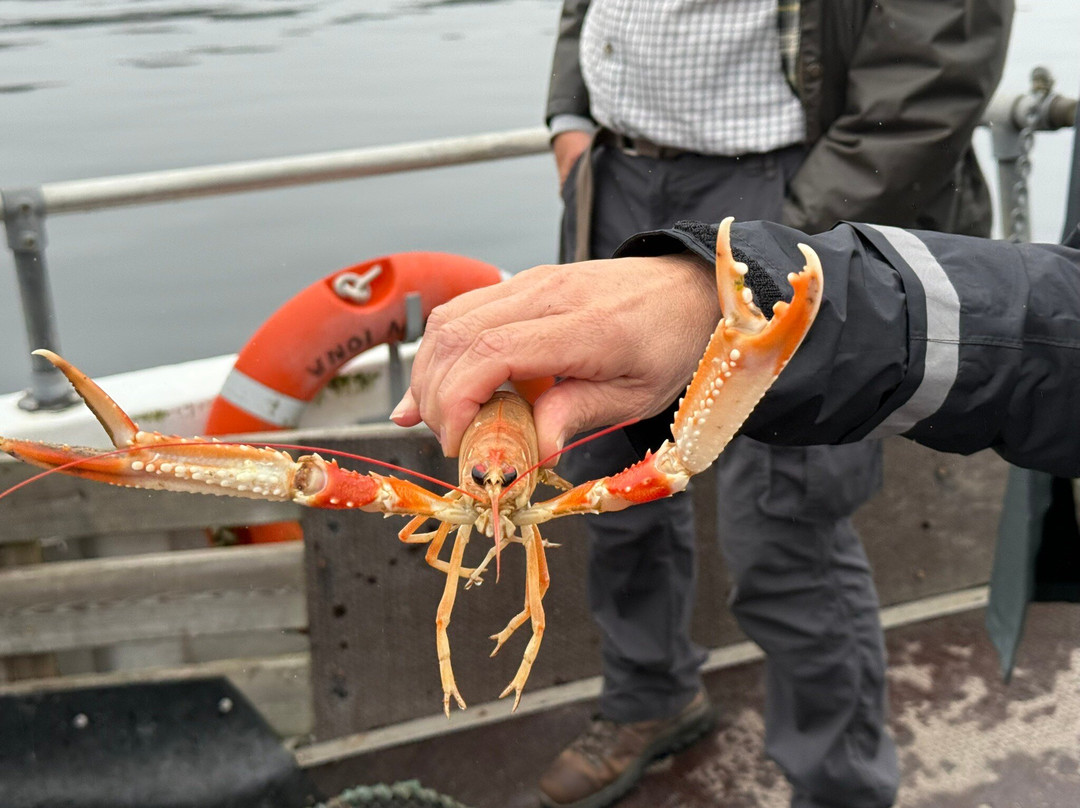 Shellfish Safaris-Badachro必去景点