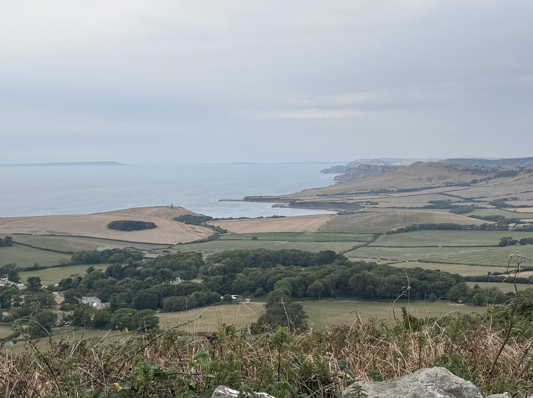 Purbeck Safari-韦勒姆必去景点