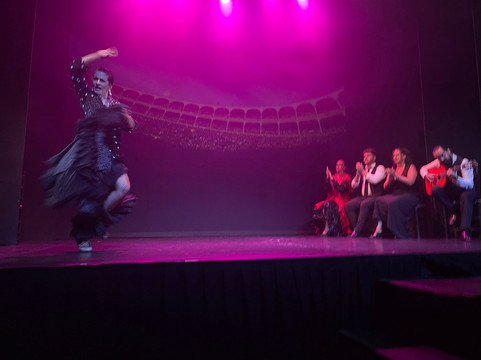 Teatro Flamenco Madrid-马德里必去景点