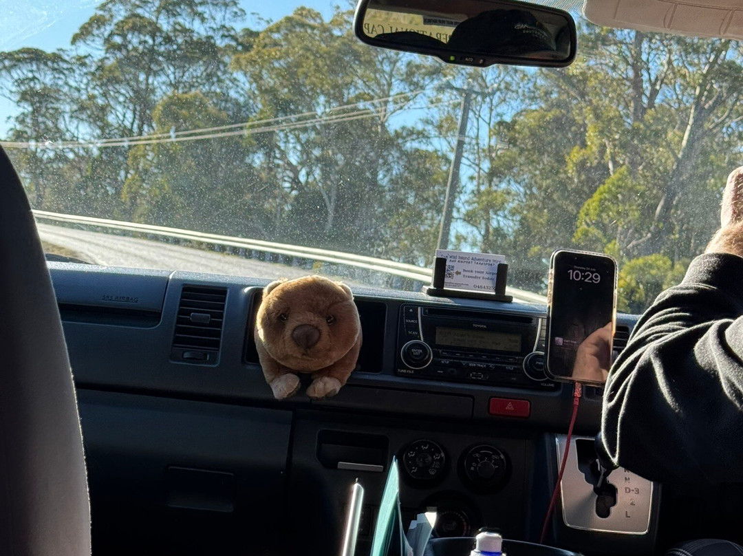 Wild Island Adventure Hire-朗塞斯顿必去景点