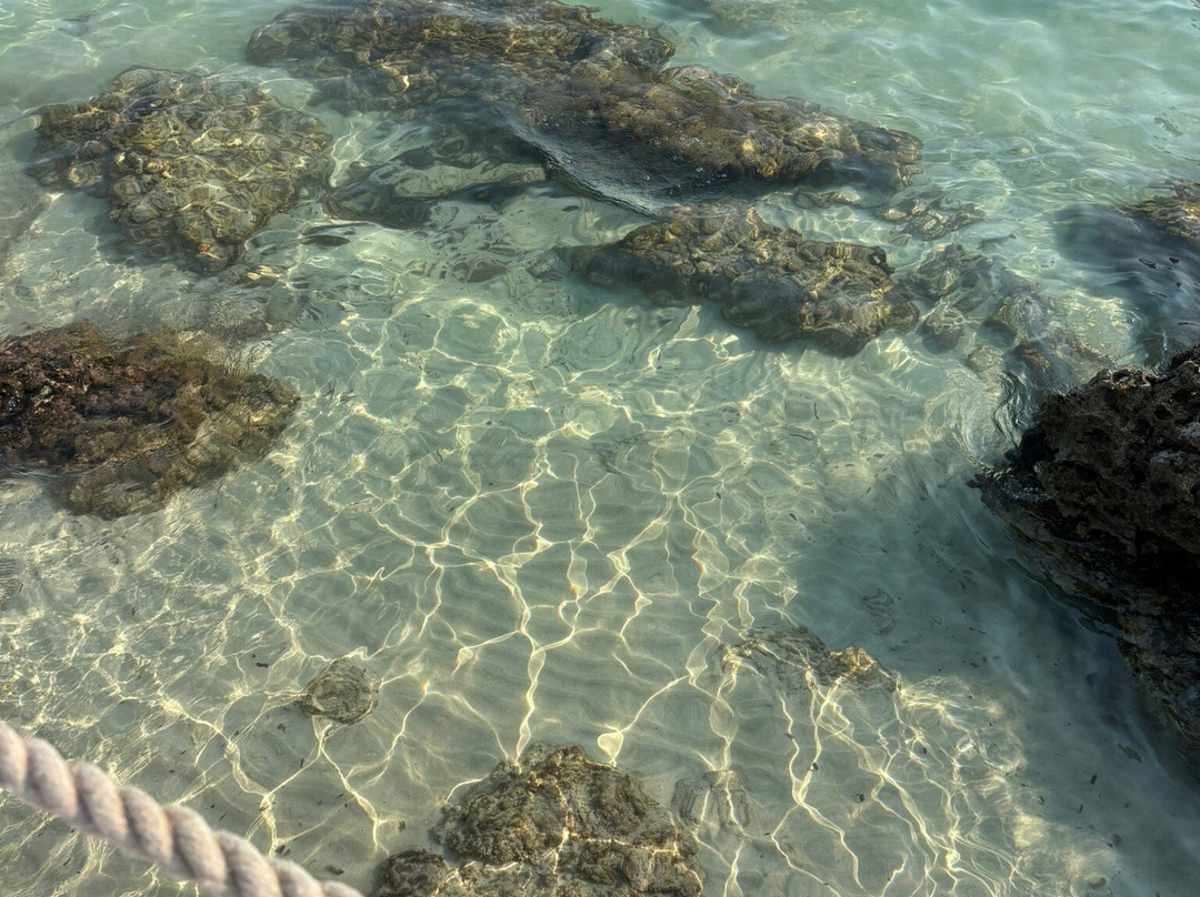 Masseria Baroni Di Montesardo主图