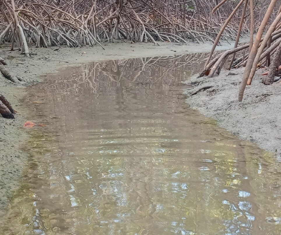 Lagune de la Somone-索蒙必去景点