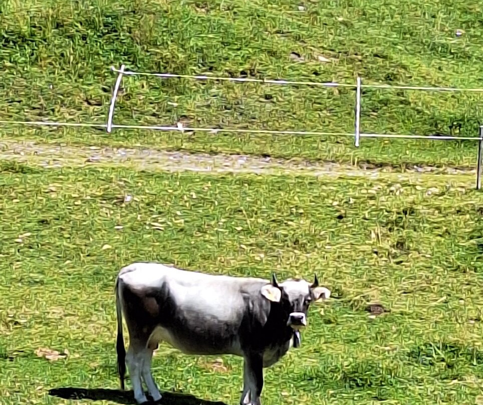 Hotel Truyenhof主图